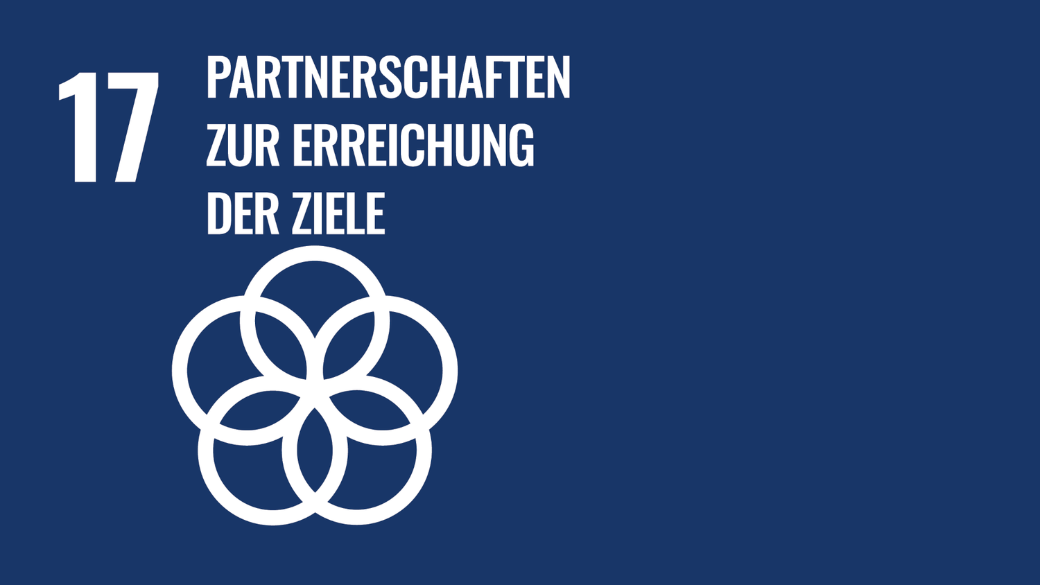 Symbol für das 17 Ziel der nachhaltigen Entwicklungsziele der Vereinten Nationen (Sustainable Development Goals): Partnerschaften zur Erreichung der Ziele.