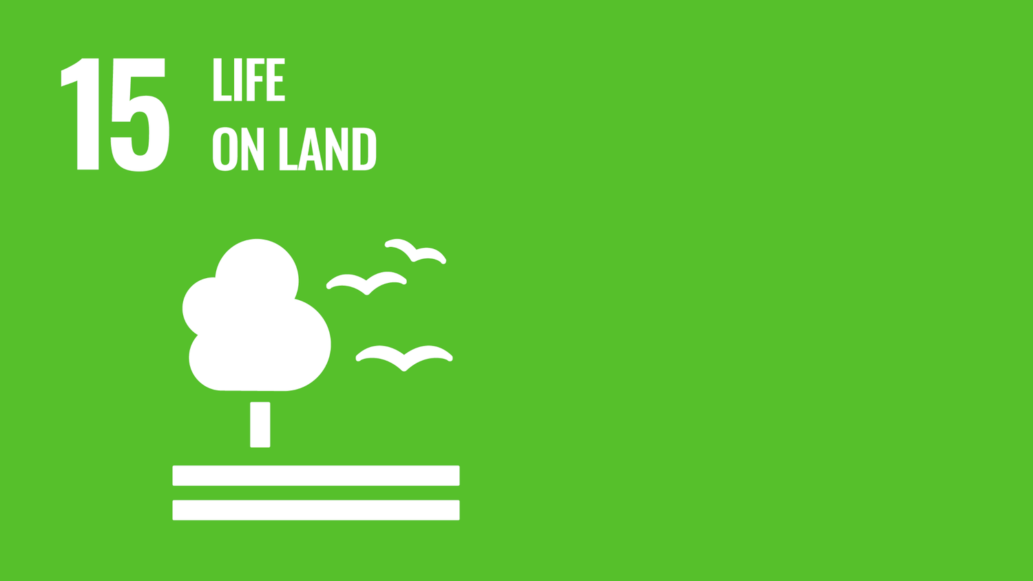Symbol for the fifteenth of the United Nations Sustainable Development Goals: Life on land.