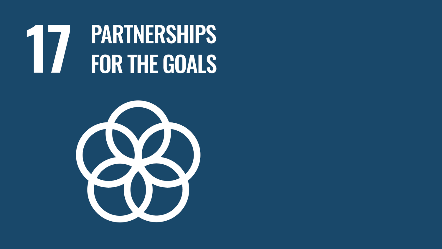 Symbol for the seventeenth of the United Nations Sustainable Development Goals: Partnerships for the Goals.
