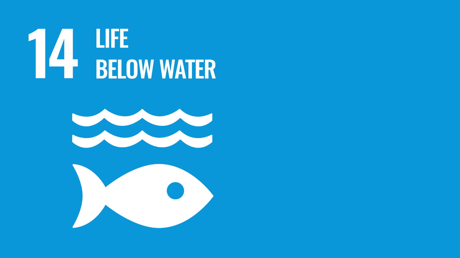 Symbol for the fourteenth of the United Nations Sustainable Development Goals: Life below water.
