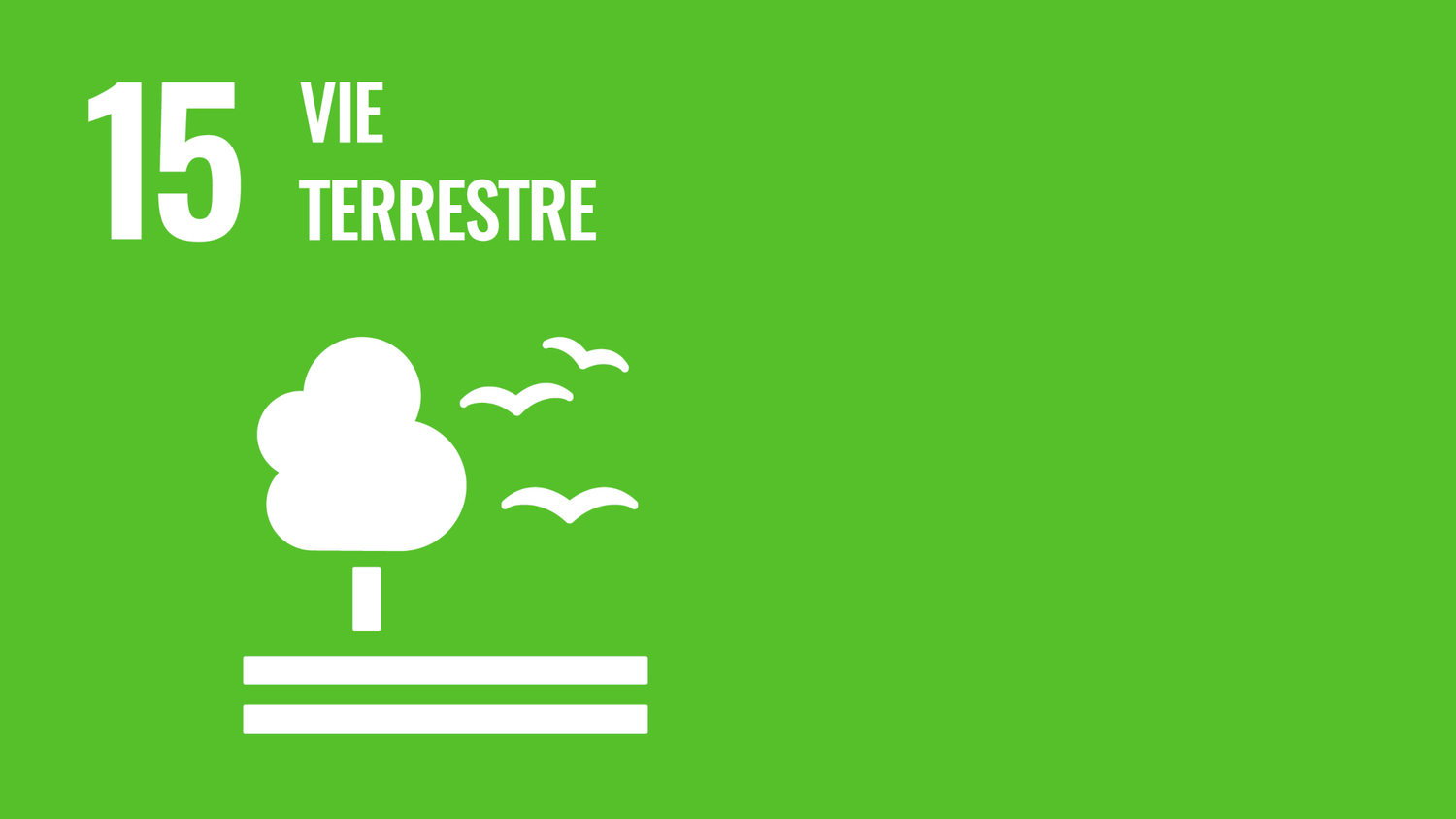 Symbole de l’objectif 15 des Objectifs de développement durable des Nations Unies : vie terrestre