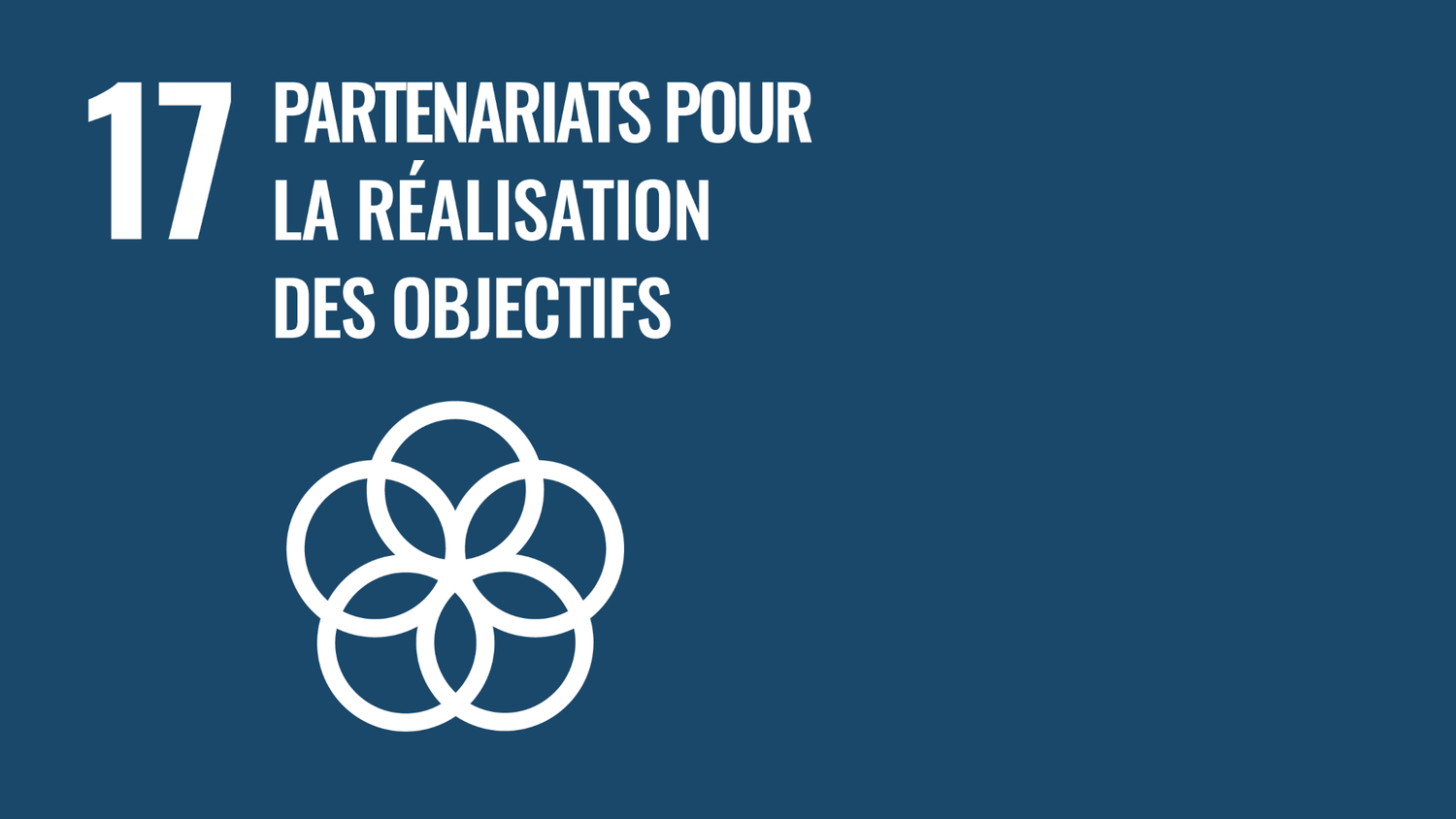 Symbole de l’objectif 17 des Objectifs de développement durable des Nations Unies : partenariats pour la réalisation des objectifs