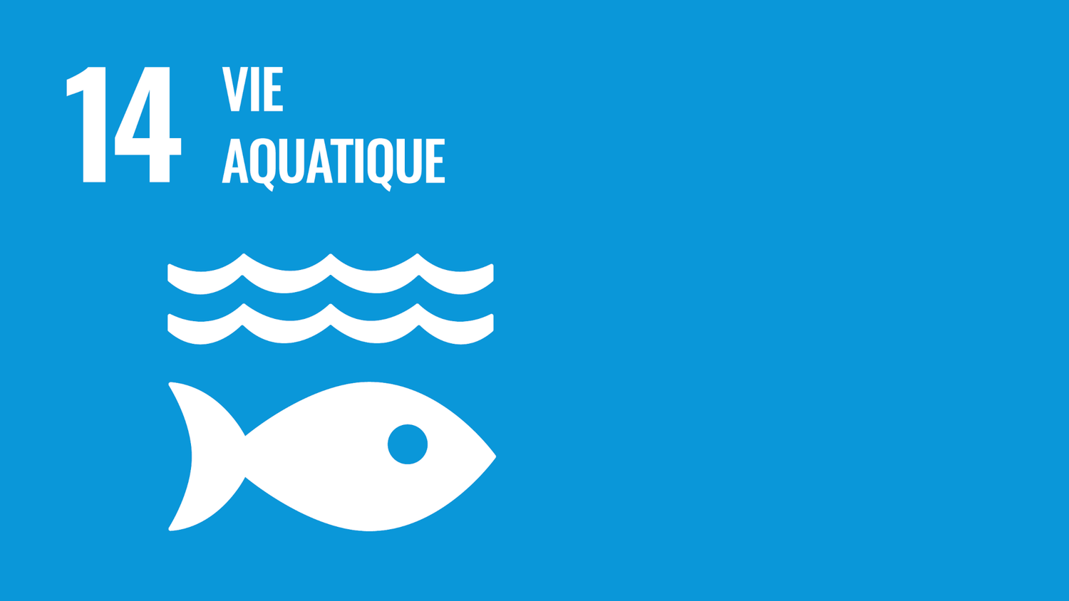 Symbole de l’objectif 14 des Objectifs de développement durable des Nations Unies : vie aquatique